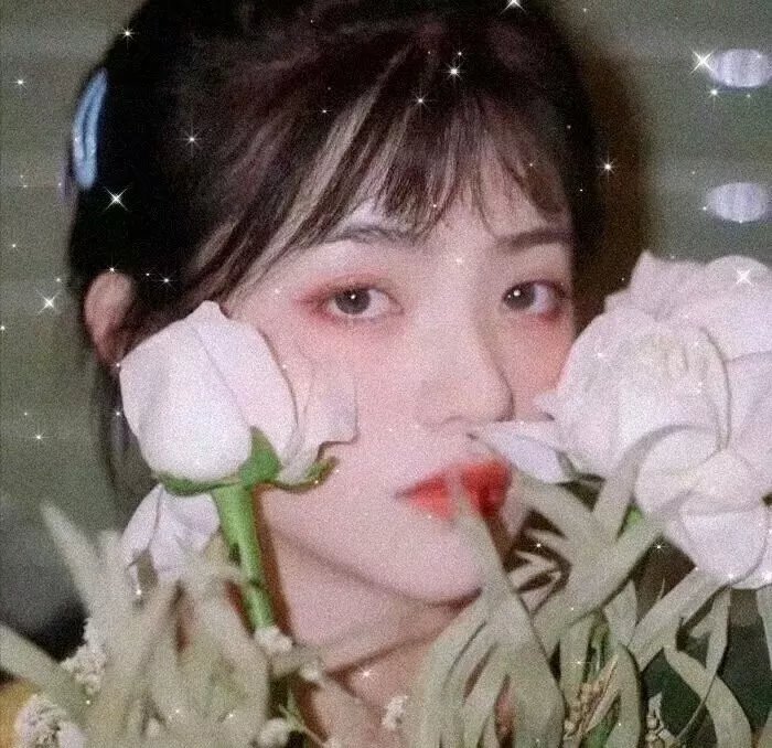 拳脚之路
